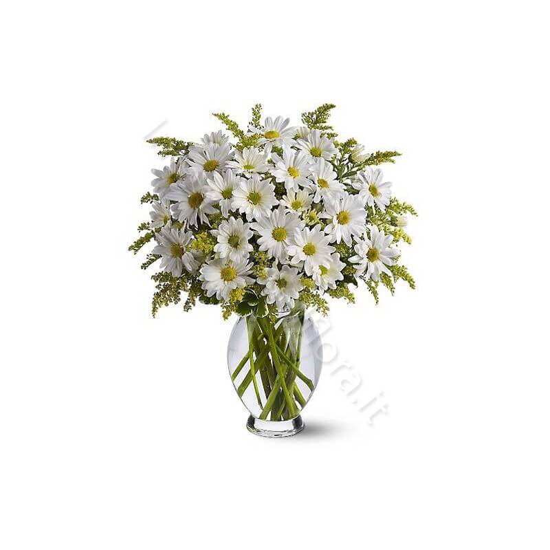 Bouquet di Margherite bianche