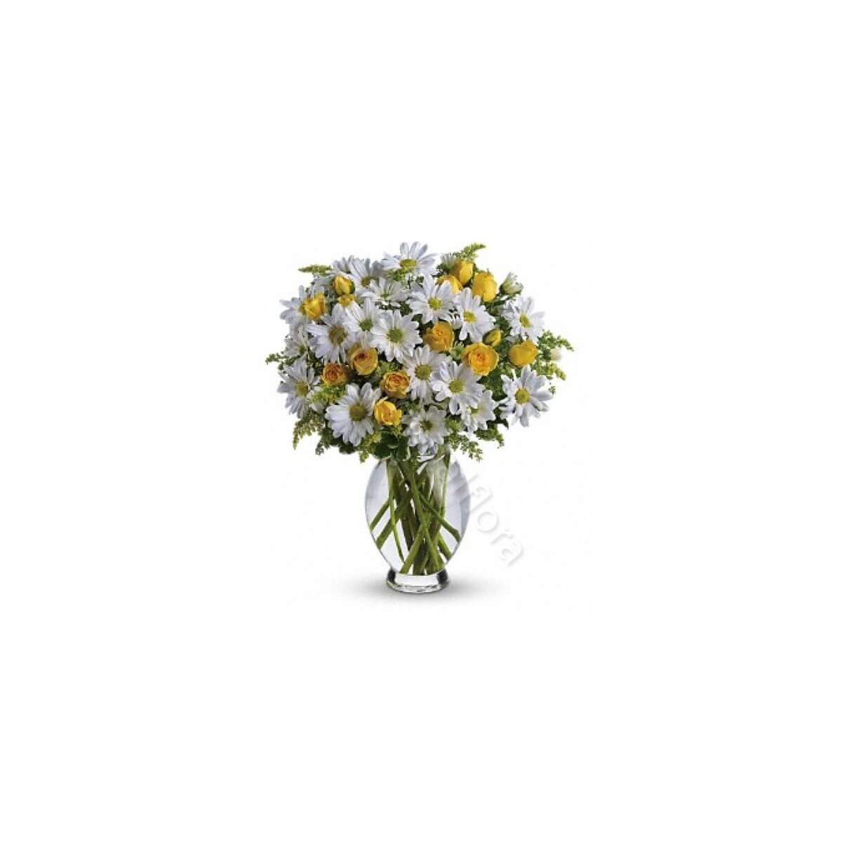Bouquet di Margherite bianche e Roselline gialle