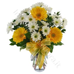 Bouquet di Gerbere gialle e Margherite bianche internationalflora.com