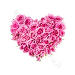 Cuore di Rose rosa internationalflora.com