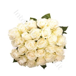 Bouquet di 24 Rose bianche