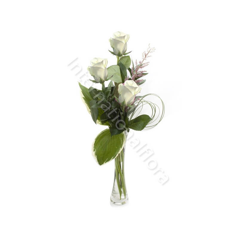 Tre rose bianche internationalflora.com