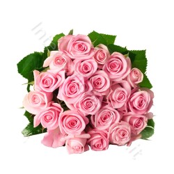 Bouquet di 20 Rose rosa