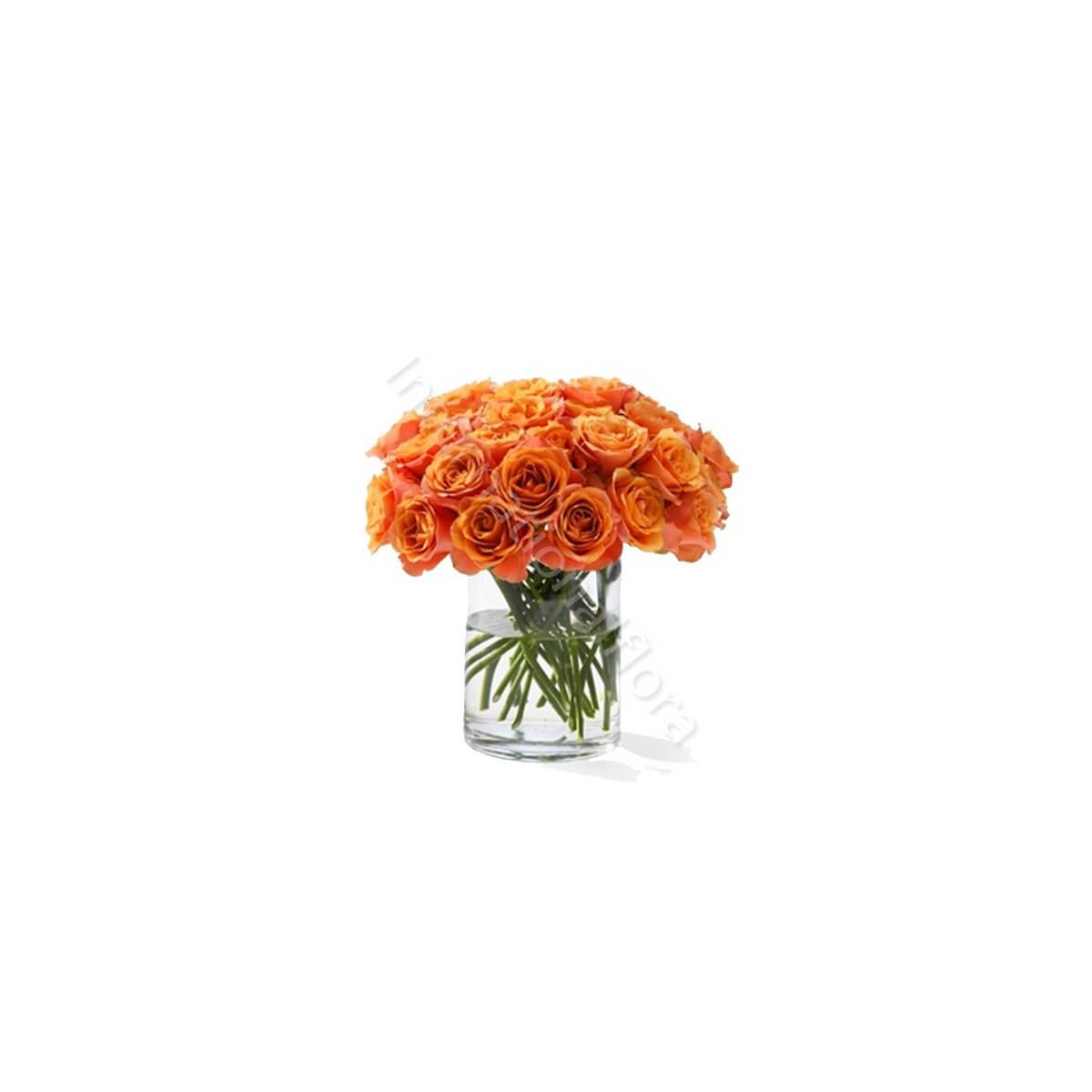Bouquet di 18 Rose arancio