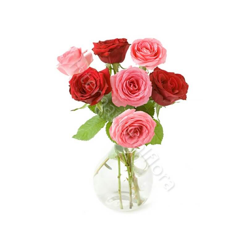 Bouquet di 7 Rose rosse e rosa