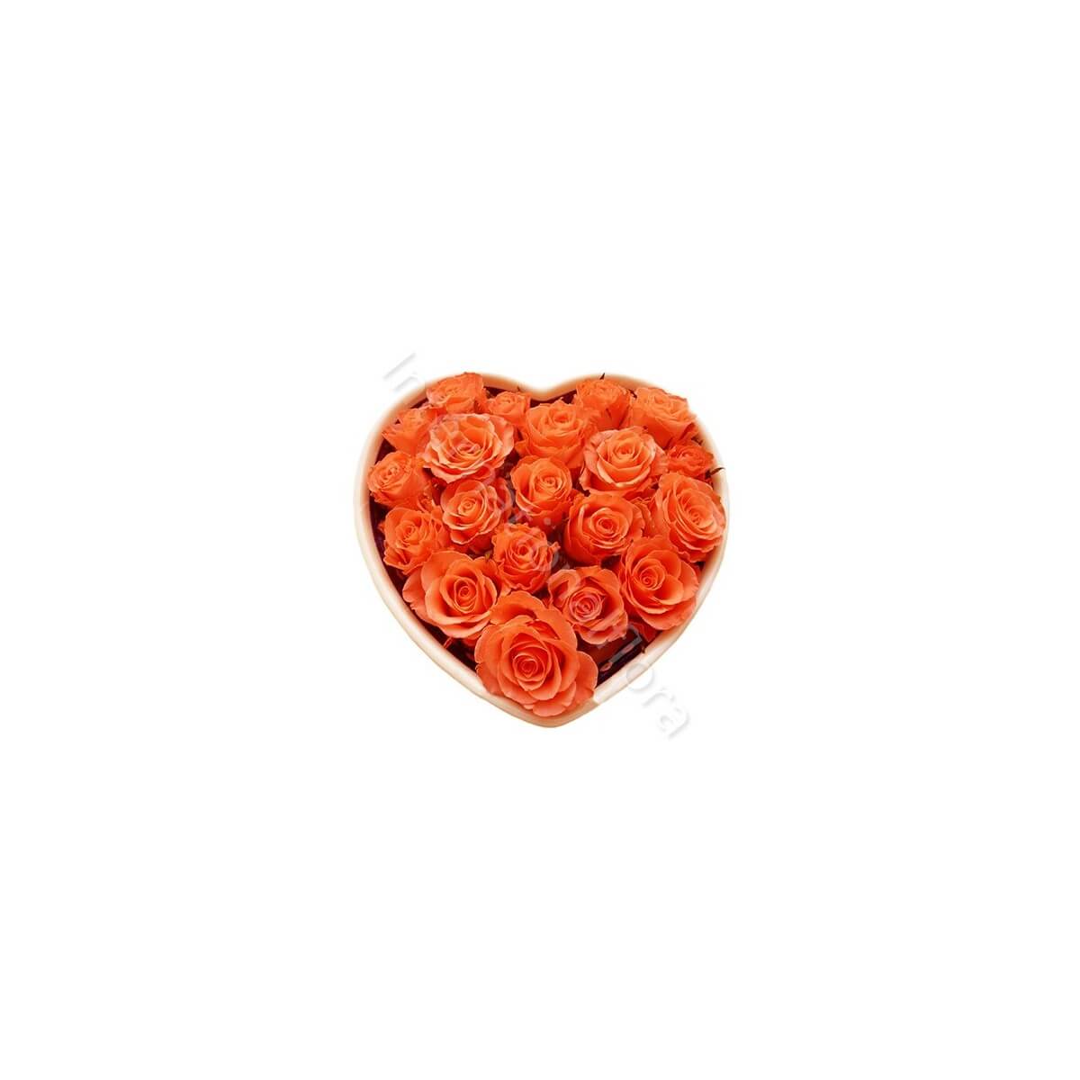 Cuore di Rose arancio