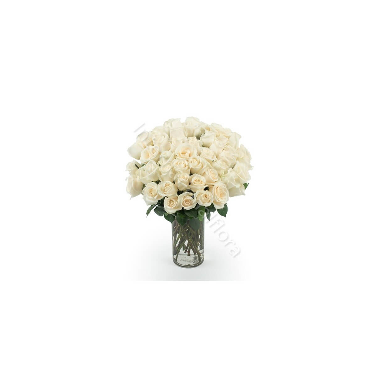Bouquet di 50 Rose bianche