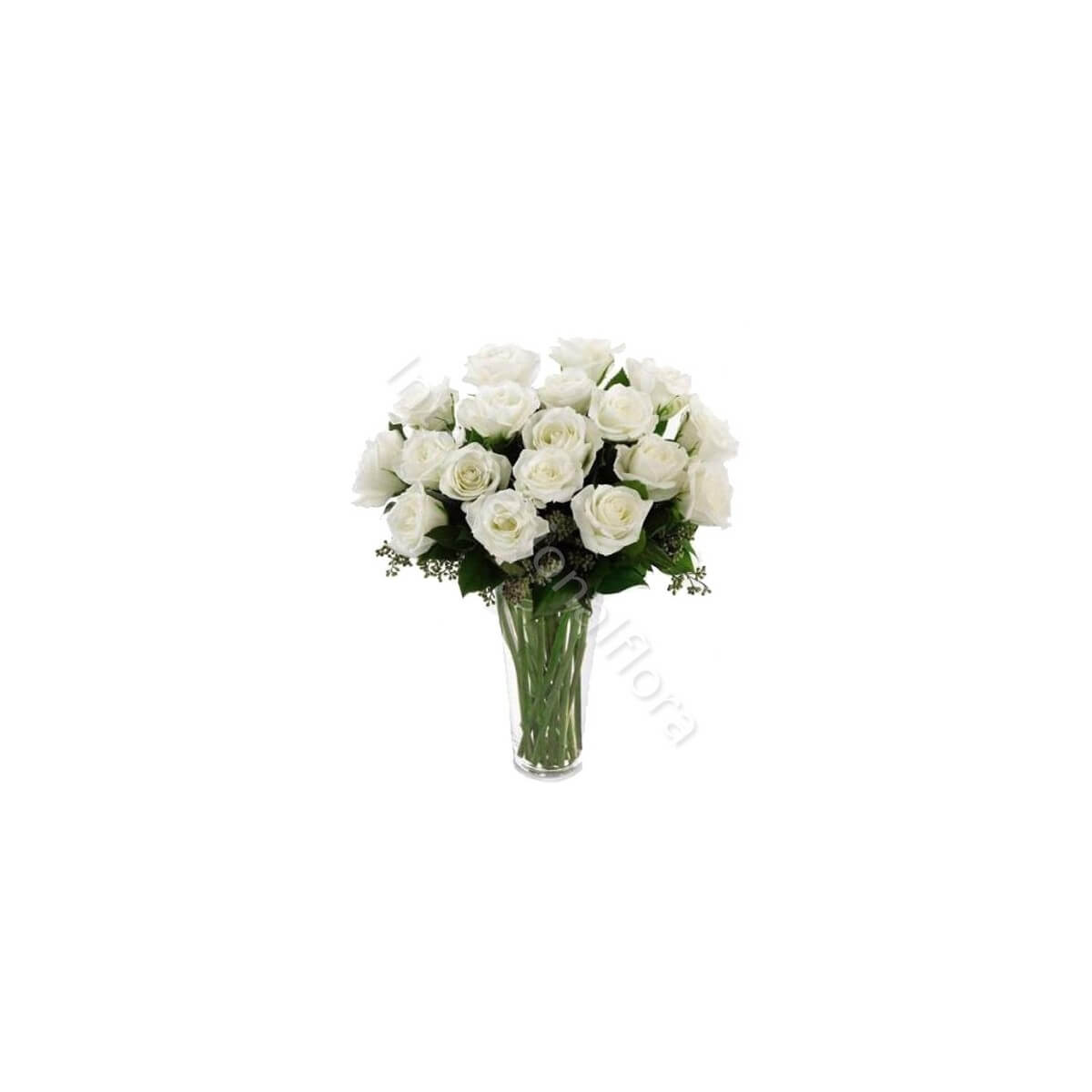Bouquet di 18 Rose bianche