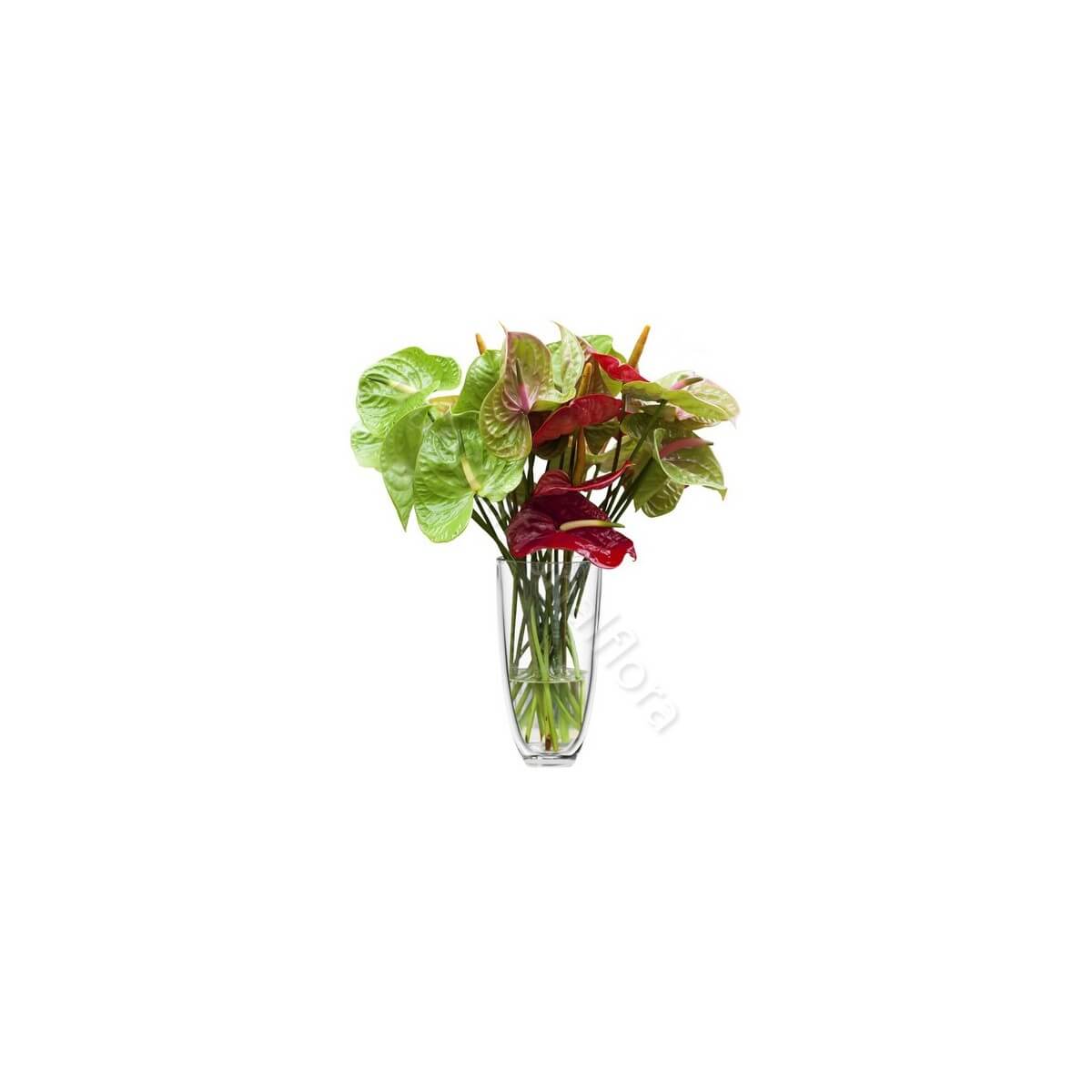 Bouquet di Anthurium