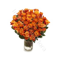 Bouquet di 50 Rose arancio