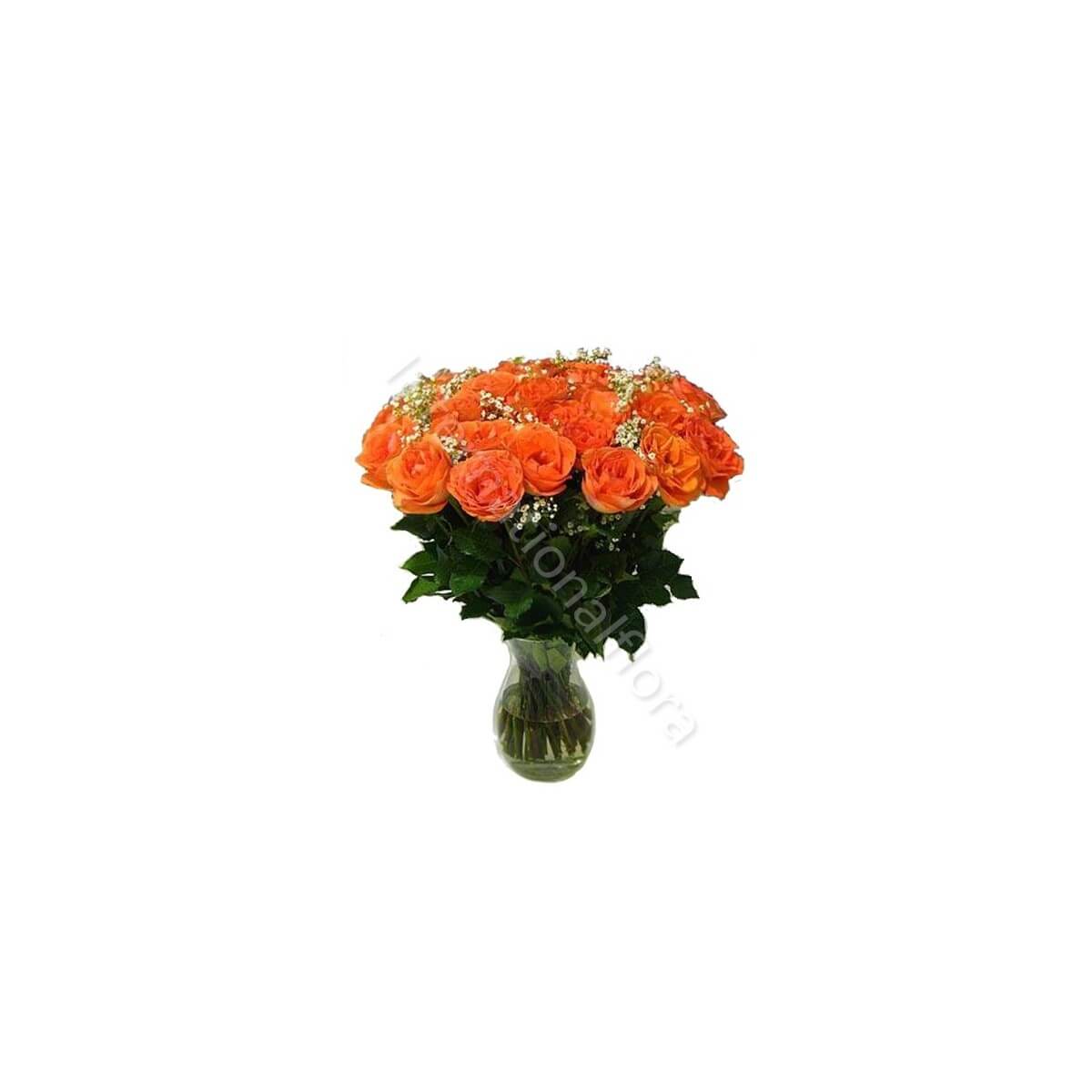 Bouquet di 36 Rose arancio