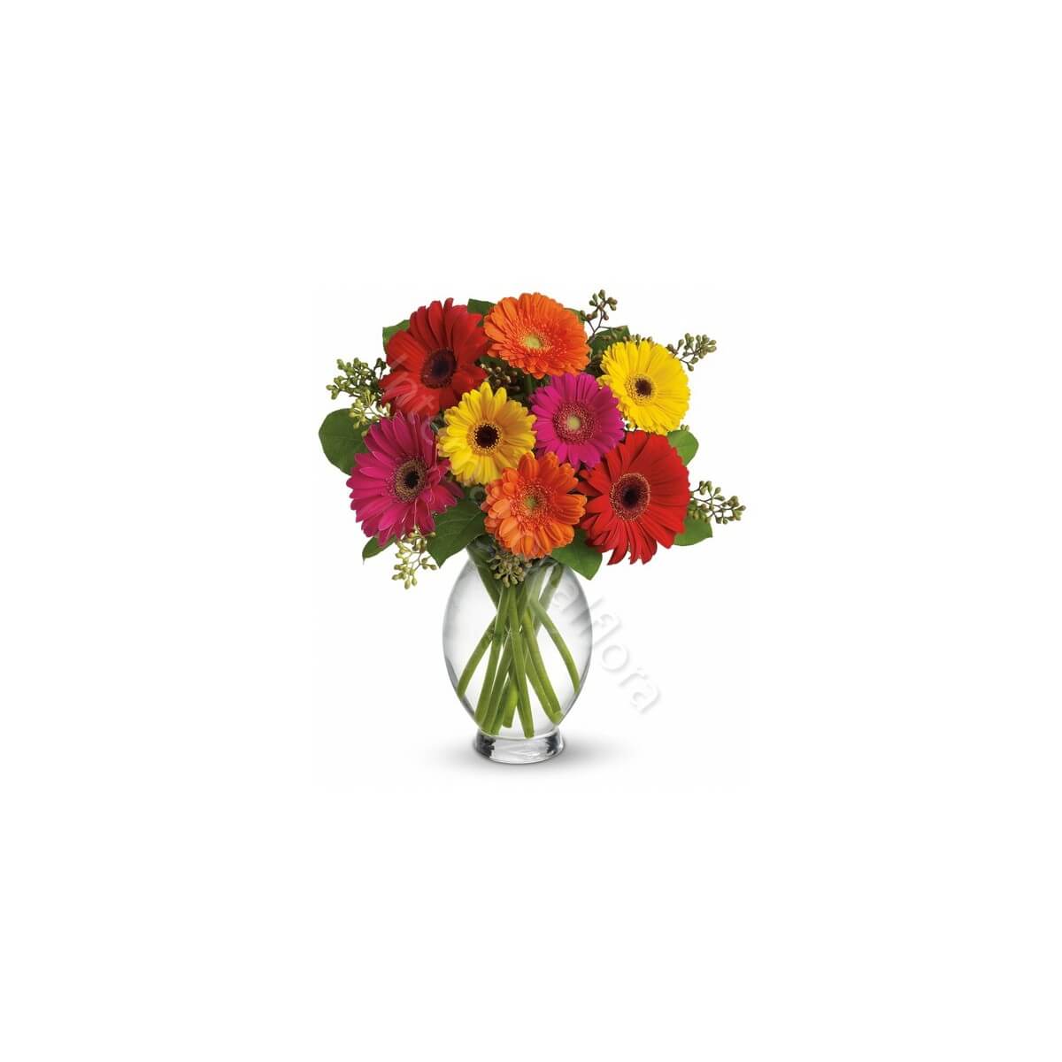 Bouquet di Gerbere colorate