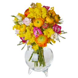 Bouquet di mimosa con ranuncoli colorati