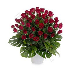 50 Rose Rosse internationalflora.com